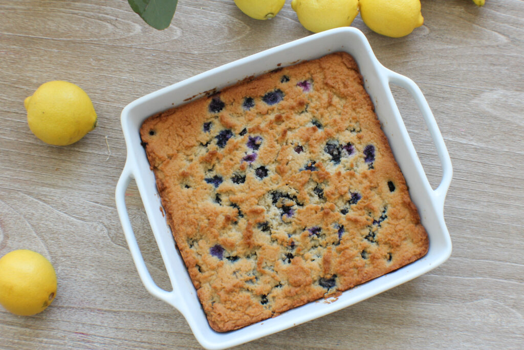 Blueberry Lemon Breakfast Cake Be Well By Nicole L